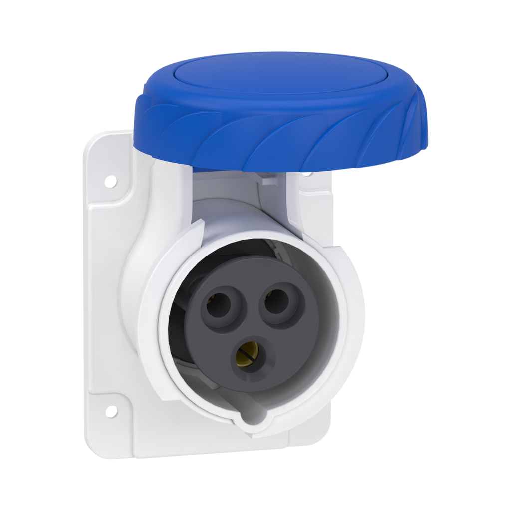 Schneider Electric PratiKa Socket - Screw - Straight - 16A - 2P + E - 200...250 V AC - Panel