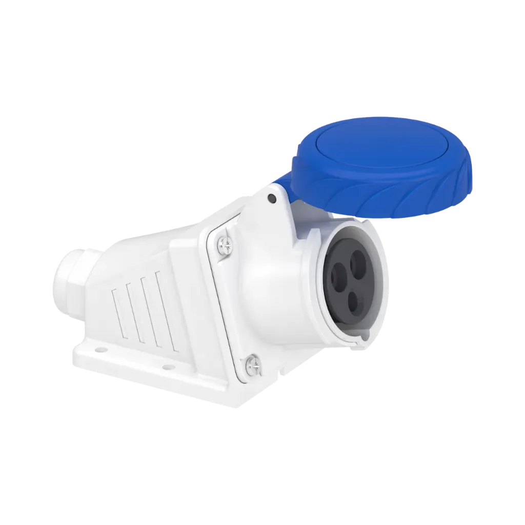 Schneider Electric PratiKa Socket Screw, Angled 16A - 2P+E - 200...250 V AC-Wall 