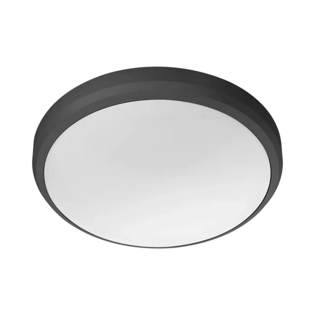 Philips Outdoor luminaires Doris Ceiling Light 6W - Black IP54 Cool