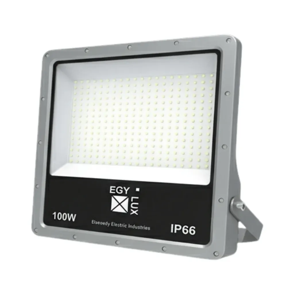 Egylux Orca Flood Light 100w Die-Cast Aluminum Daylight IP66
