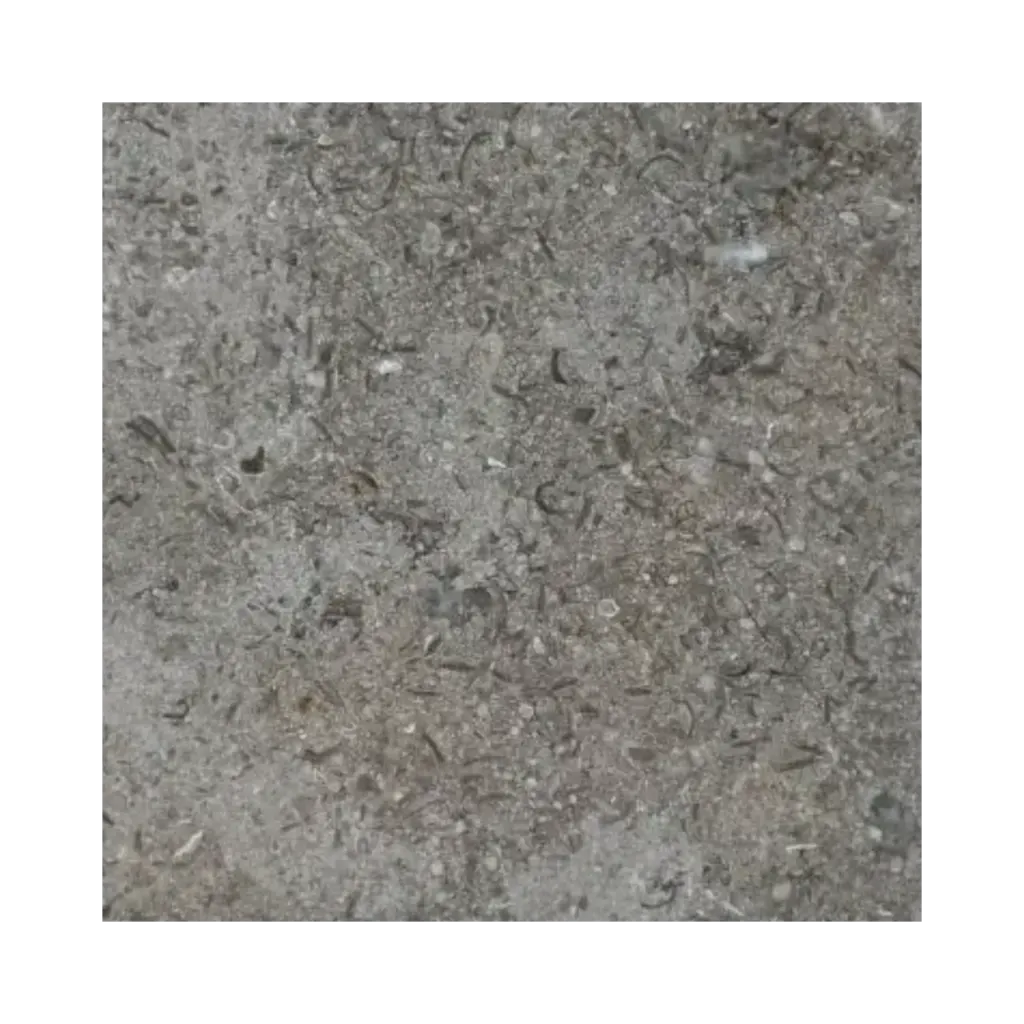 Triesta Grey Limestone