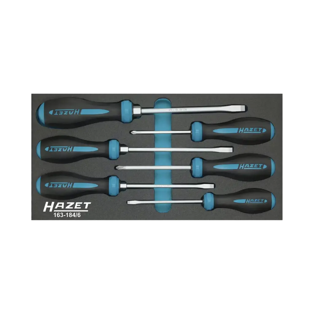 Hazet HEXAnamic® Screwdriver Set Cross Recess Profile PH, Slot Profile 0,8 x 4-1,2 x 8 PH-PH2, 6 Pieces