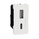 Schneider Electric Miluz E USB Type A+C, 2 Port, 2.4A, 12W, 1 Module, White