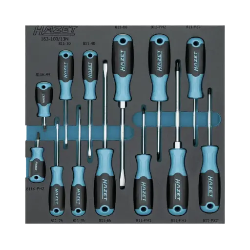 [163-100/13N] Hazet Screwdriver Set 2/3, 13-Pieces, 0.4 x 2.5-1.2 x 8 ∙ PH1-PH3, PZ1-PZ2, Pozidriv Profile PZ, Cross Recess Profile PH, Slot Profile